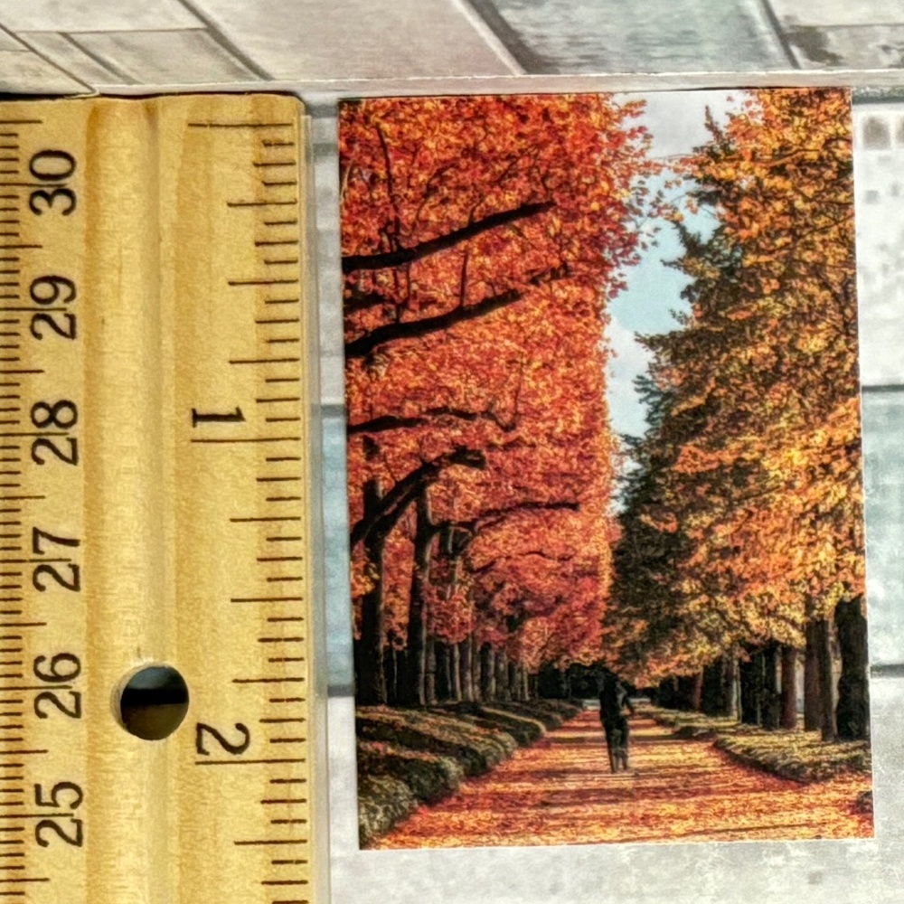 🌀10/$10🌀 Autumn Reusable Washi Sticker Decal